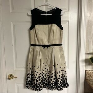 Taylor A-Dress Black Beige Polka Dot Lace Mesh Velvet Satin 50's Style Formal 10